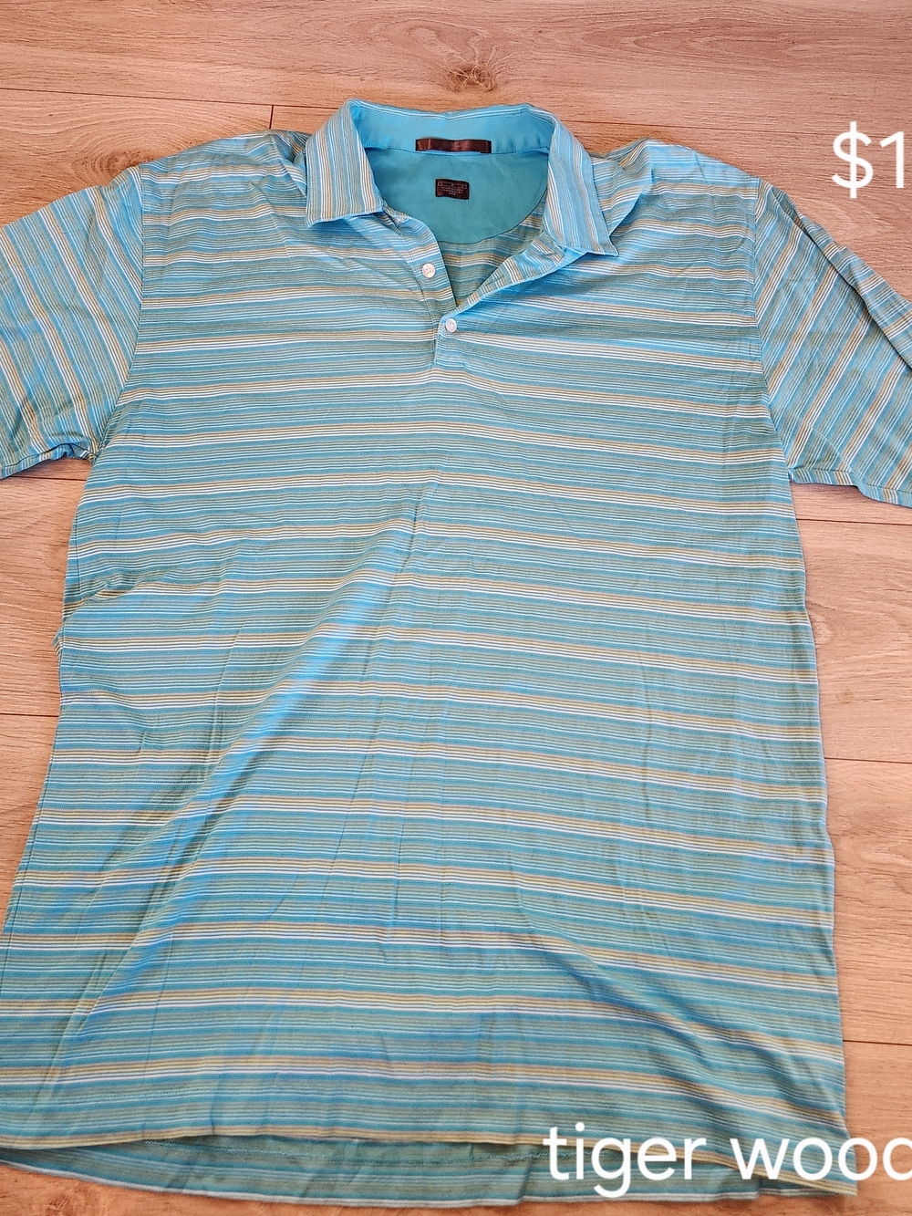 Men's Aqua Tiger Woods Striped Polo Shirt